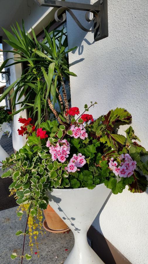 Hotel-Pension Dressel Warmensteinach Bagian luar foto